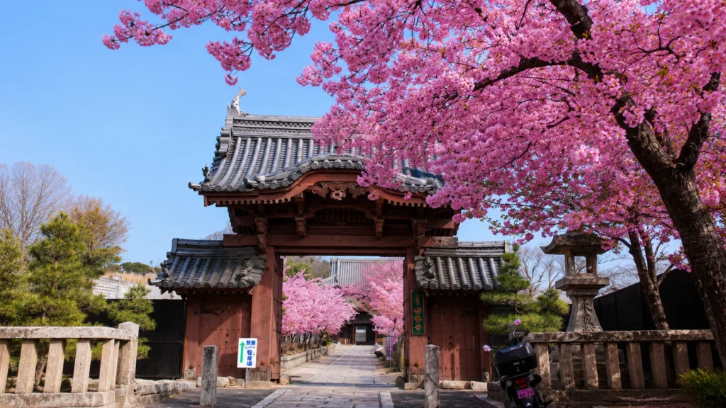 Traditional temple during Japan During Cherry Blossom Season